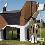 Dog Shape Home