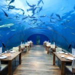 Stunning Restaurant Under the Sea