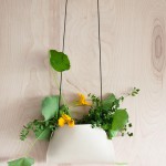 The Hanger Planter